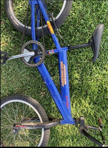 Купить Велосипед Blue Trek TR10 20\